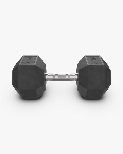 [3002339] ELEIKO XF DUMBBELL - 26 KG